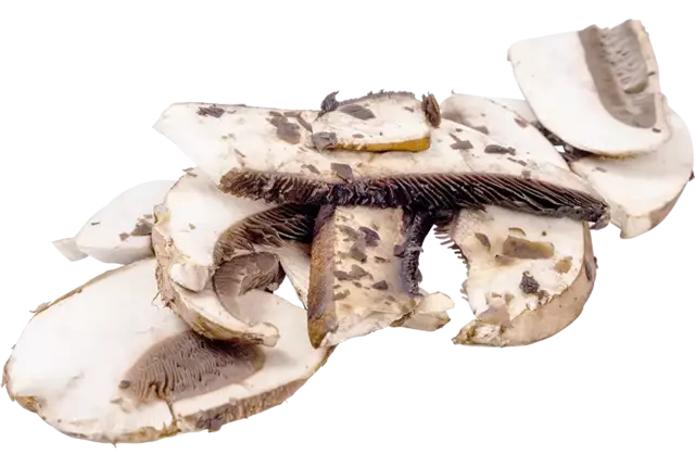 Portobello 8mm bak 1kg kist 6 stuks